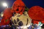 Thumbs/tn_Bloemencorso Noordwijkerhout 304.jpg